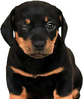 Rychlá osobní a podnikatelská půjčka